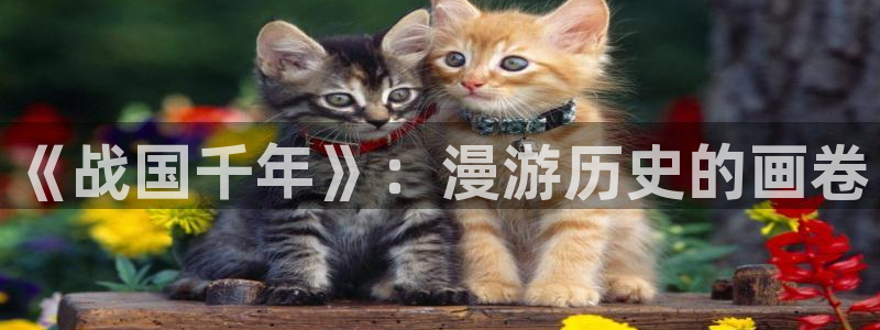 韩漫漫画免费无删减：《战国千年》：漫游历史的画卷